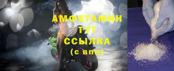 твердый Пересвет