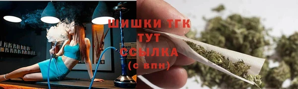 твердый Пересвет