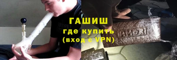 стаф Дубна