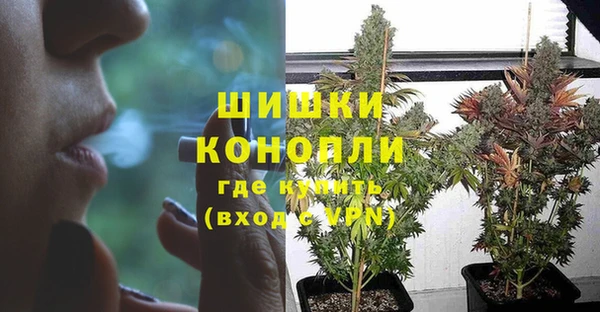 стаф Дубна