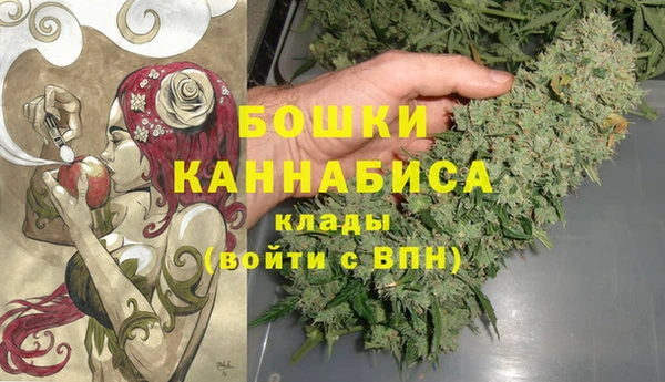 твердый Пересвет