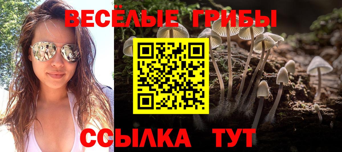 Серов  дарнет шоп  Вход с VPN  Псилоцибиновые грибы Cubensis 