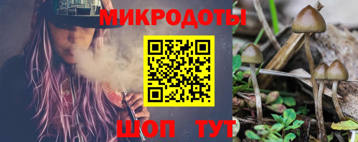 Псилоцибиновые грибы MAGIC MUSHROOMS Серов